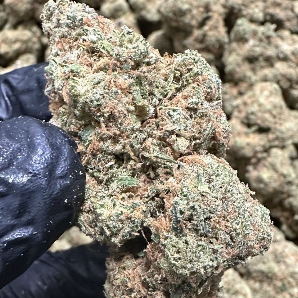 Typ: Indica dominant