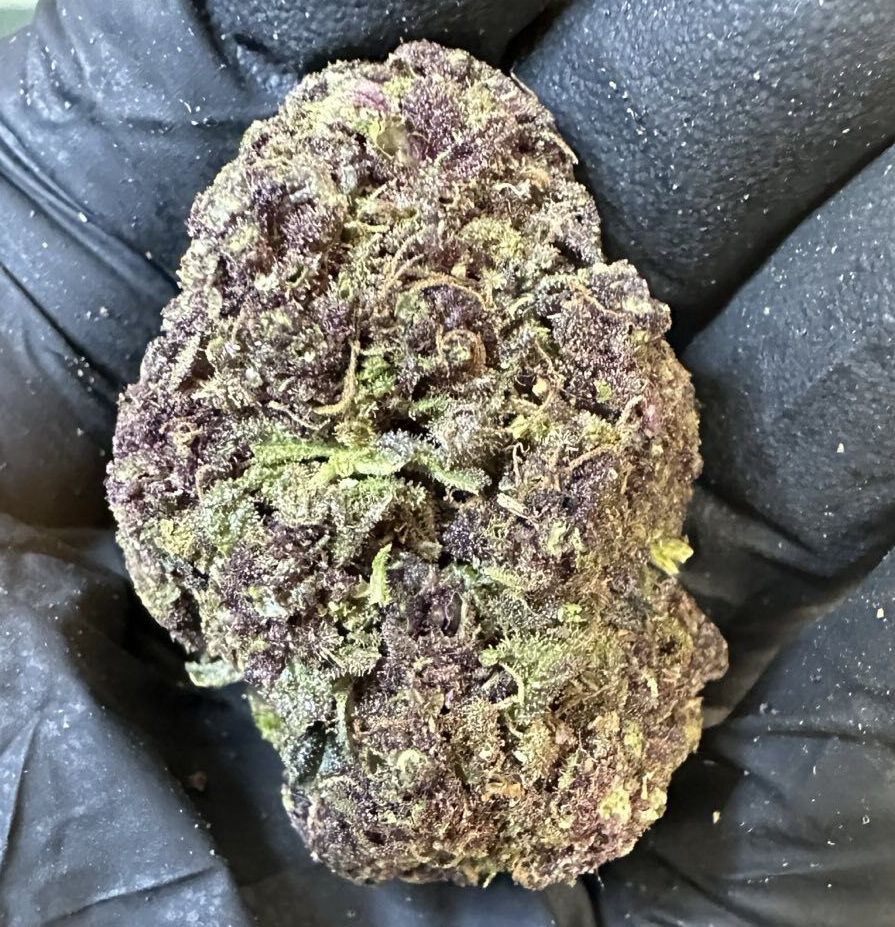 Typ: Indica dominant