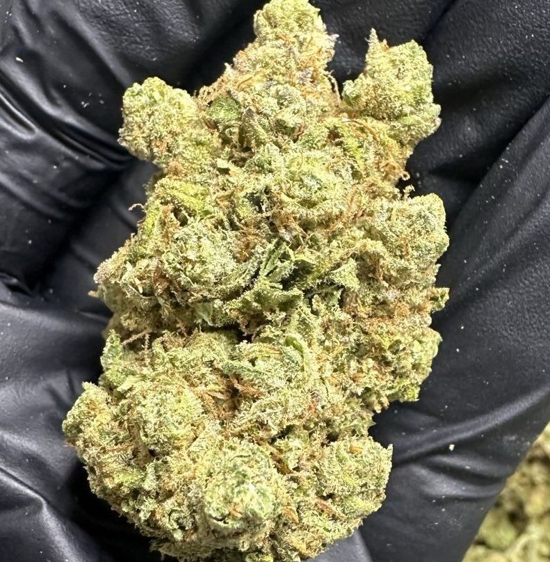 Typ: Sativa dominant